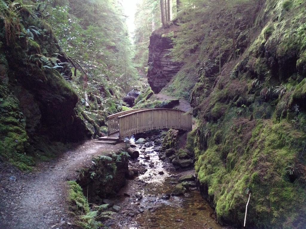 Pucks Glen Lodges, Rashfield, By Dunoon Ruang foto