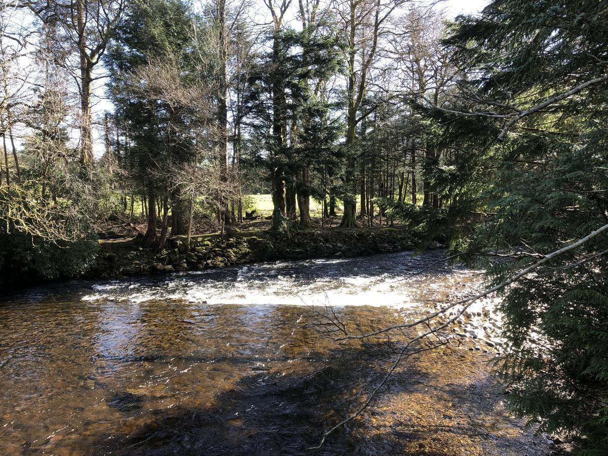 Pucks Glen Lodges, Rashfield, By Dunoon Bagian luar foto